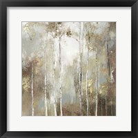 Framed 'Fine Birch I' border=