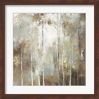 Framed Fine Birch I