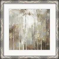 Framed Fine Birch I