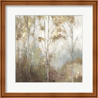 Framed 'Fine Birch II' border=