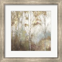 Framed 'Fine Birch II' border=