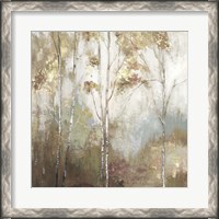 Framed Fine Birch II