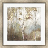 Framed Fine Birch II