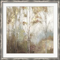 Framed Fine Birch II