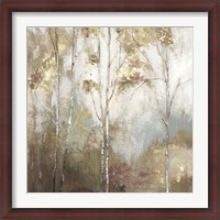 Framed Fine Birch II