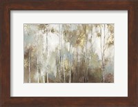 Framed Fine Birch III