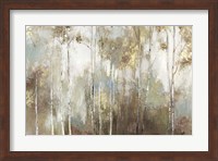 Framed Fine Birch III