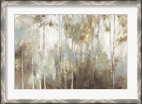 Framed Fine Birch III