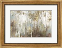 Framed Fine Birch III