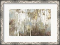 Framed Fine Birch III