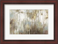 Framed Fine Birch III