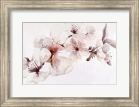 Framed Watercolor Blossoms I