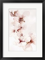 Framed Watercolor Blossoms II