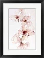 Watercolor Blossoms III Framed Print