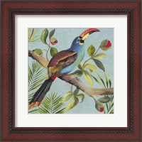 Framed Paradise Toucan I