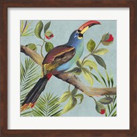 Framed Paradise Toucan I