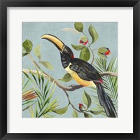 Framed 'Paradise Toucan II' border=