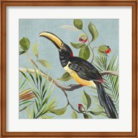 Framed Paradise Toucan II