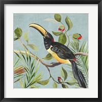 Framed Paradise Toucan II