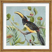 Framed Paradise Toucan II