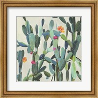 Framed Cactus Garden