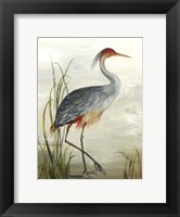 Framed Grey Heron