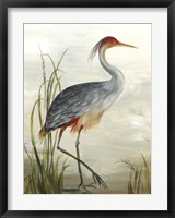 Framed Grey Heron