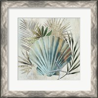 Framed Turquoise Shell I