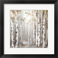 Framed Sunset Birch Forest III