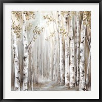 Framed Sunset Birch Forest III