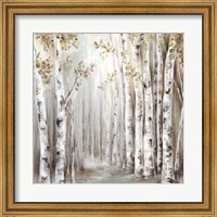 Framed Sunset Birch Forest III