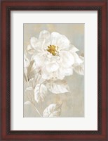 Framed White Rose I