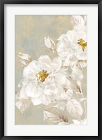 Framed White Rose II