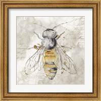 Framed 'Queen Bee II' border=