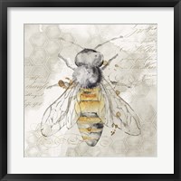Framed Queen Bee II