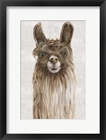 Suri Alpaca I Framed Print