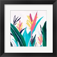 Framed 'Alpinia I' border=