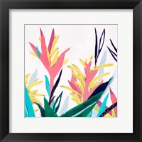 Framed Alpinia II