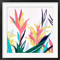 Framed Alpinia II