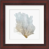 Framed Delicate Coral I