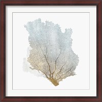 Framed Delicate Coral I