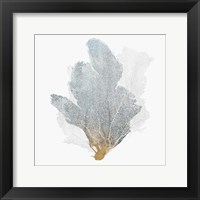 Framed Delicate Coral II