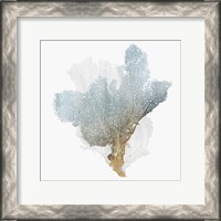 Framed Delicate Coral III