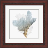 Framed Delicate Coral III