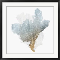 Framed Delicate Coral III