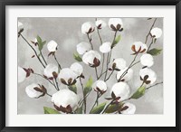 Framed Cotton Ball Flowers I