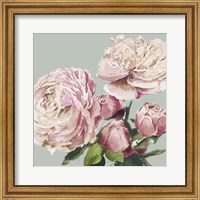 Framed 'Pink Peony II' border=