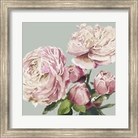 Framed Pink Peony II