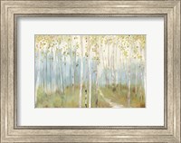 Framed Sunny Forest