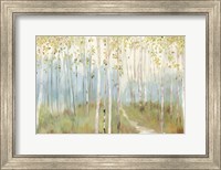 Framed Sunny Forest